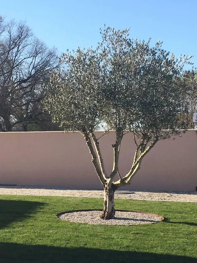 Le Gite Du Golf Montauban